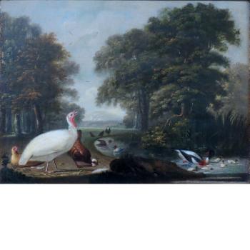 A White Turkey Cock, Chickens and Ducks in a Landscape by 
																	Cornelia de Ryck