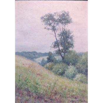 (i) Flowering Field; (ii) Rolling Hills by 
																	John Willard Raught