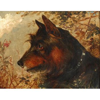 Head of a terrier by 
																			Edward Aistrop