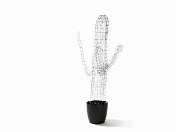Light Cactus by 
																			Christoph Luckeneder