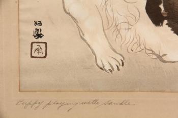 Puppy playing with sandle by 
																			Seiho Takeuchi
