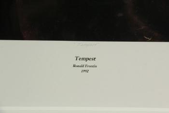 Tempest by 
																			Ronald Frontin
