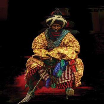 Emir's Guard by 
																	Ade Adekola