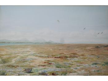 English partridge and lapwing upon sandflats by 
																	Vincent Balfour-Browne