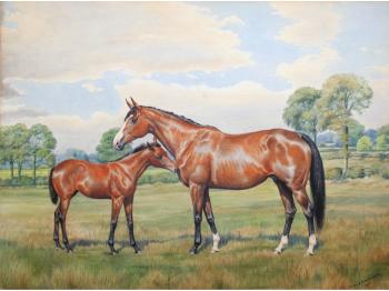 A mare and foal in a field. The saddled chestnet racehorse Sheik by 
																	Dorothy Margaret Alderson