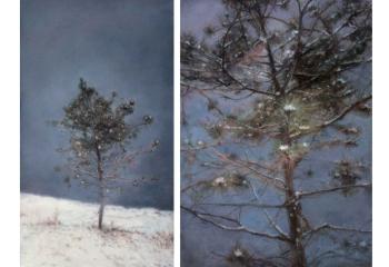 Tree No.1; & Tree No.2 by 
																	 Wang Daishan