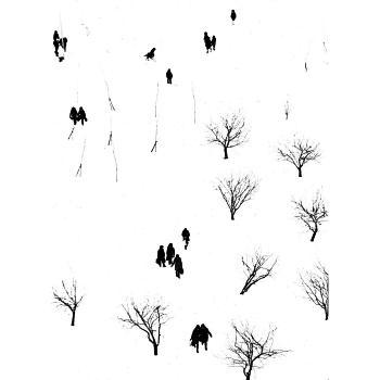 La cour d'hiver by 
																	Yuriy Abramochkin