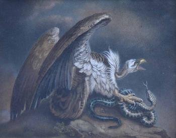 Serpent and vulture by 
																	Benjamin Zobel