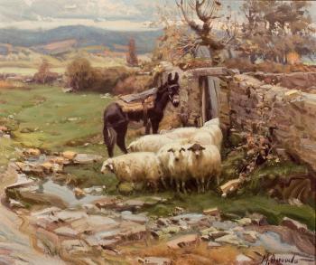 Las ovejas y el burro by 
																	Miguel Acevedo