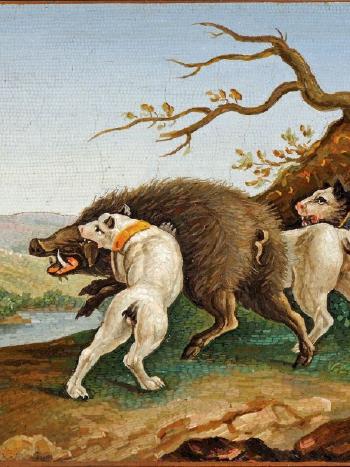 Sanglier attaqué par des chiens by 
																			Giacomo Raffaeli