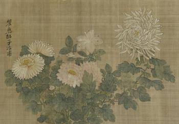 A study of chrysanthemums and other flowers. Showing flowers amongst rocks by 
																			 Qu Yingshao