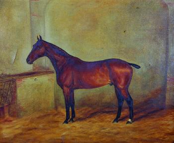 Tatters II, a bay hunter in a stable interior by 
																			A E D G Stirling-Brown