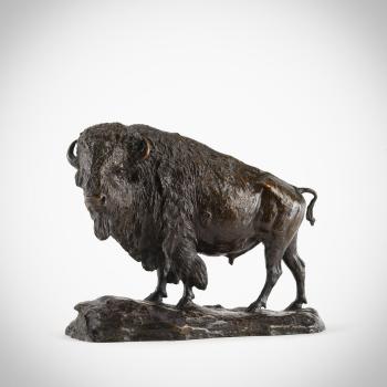 Bison by 
																	Henry M Shrady