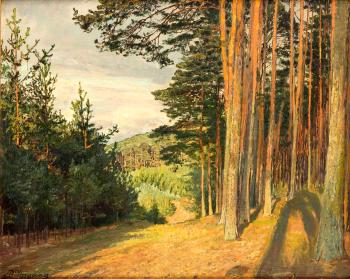 Sonnenbeschienener Waldweg by 
																	Paul Vorgang