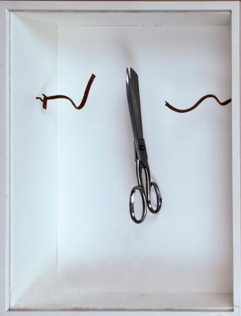 Schaar (shears) by 
																			Jeroen Henneman