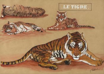 Grande étude de tigre by 
																	Georges Feldkirchner
