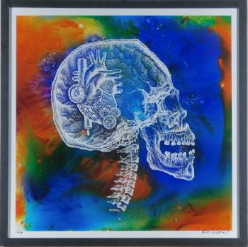 X-Ray Skull by 
																	 Emek