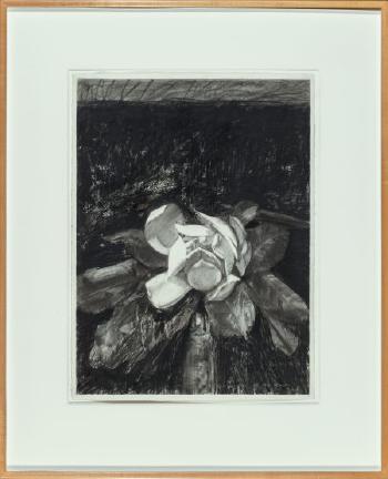 Magnolia Grandifloria II by 
																			Morton Kaish