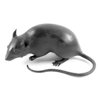 Model of a rat by 
																			Muroe Tancho