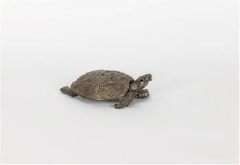 Schildkröte by 
																	Stefan Hanzl