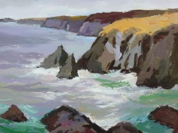 Rocky coastal seascape, cliffs near Solva by 
																	Donald McIntyre