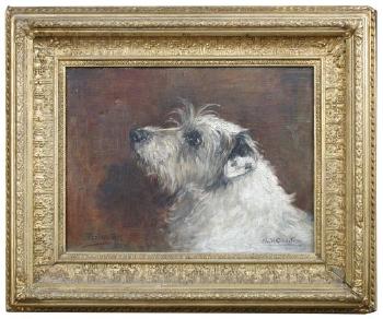 Study of 'Towser', a terrier by 
																			Agnes H Coates