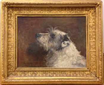 Study of 'Towser', a terrier by 
																			Agnes H Coates