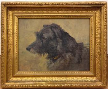 Study of a grey terrier by 
																			Agnes H Coates