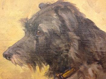 Study of a grey terrier by 
																			Agnes H Coates