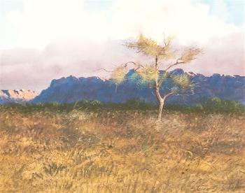 Desert sketch by 
																	Steven O'Donnell Scott