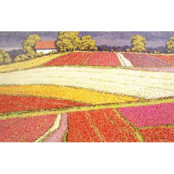 Poppy Fields by 
																	Sergei Patikovski