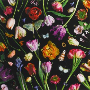 Botanical VII (Tulips) by 
																	Paulette Tavormina