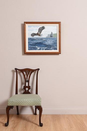 White Tailed Sea Eagle by 
																			Jason O'Ceannobhain