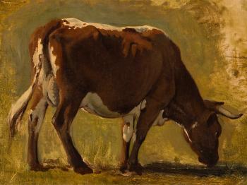 Domestic Cattle by 
																			Bela Pallik