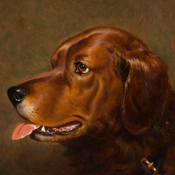 Dog Portrait - Bruce by 
																			Alfred Frank de Prades