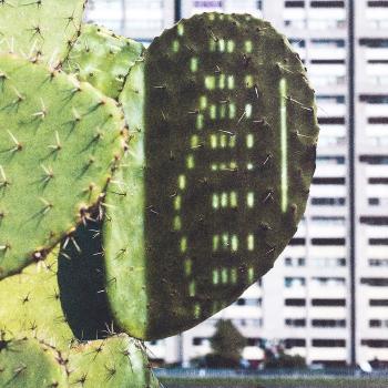 Cactus Score by 
																			Anri Sala
