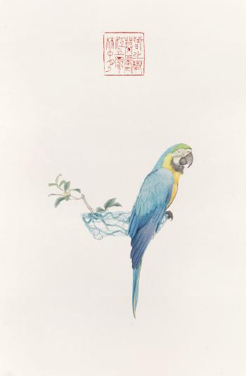 Flower and bird No.8 by 
																	 Kang Chunhui