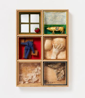 Display cases by 
																			Wolf Vostell