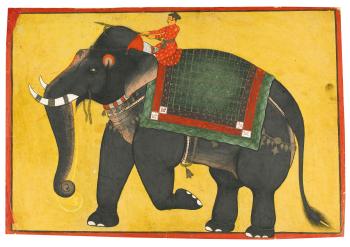 A Raja Riding A Bull Elephant by 
																	 Wajid of Isarda