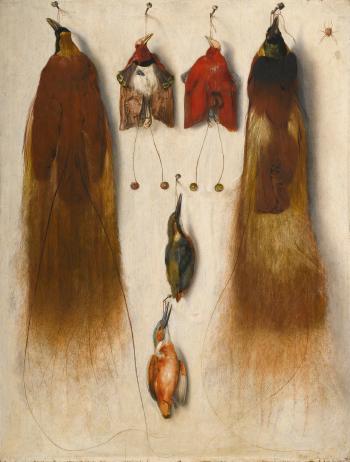 A trompe L'œil still life of four birds of paradise and two kingfishers hanging from nails on a painted white wall by 
																	Ernestu Oct