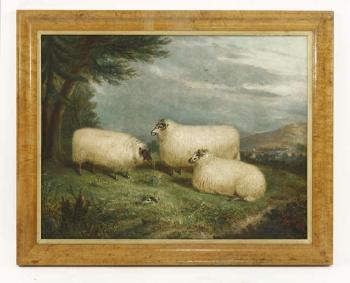 Three sheep in a landscape by 
																			Richard Whitford