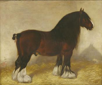 Duncan III - a shire horse by 
																			Frank Babbage
