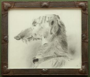 Portrait of a dog by 
																			 English School