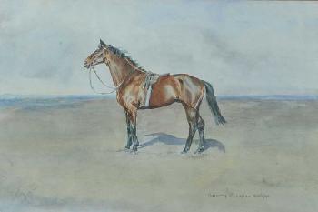 Horse Study by 
																	Rosemary O'Callaghan Westropp