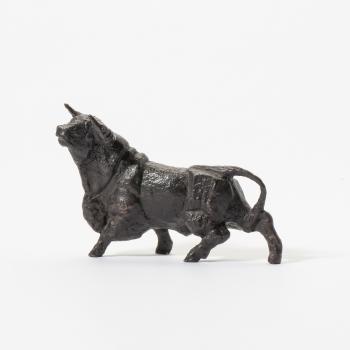 Spanish bull by 
																	Theo Mackaay