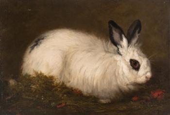 Portrait of a black and white Rabbit by 
																	E Calard