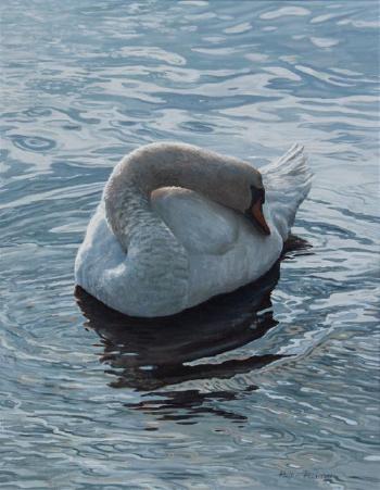 The Swan by 
																	Helen Rundell