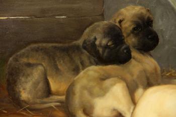 Puppies by 
																			Anton Karssen