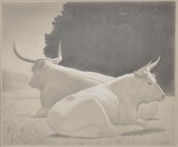 Study of Two Bulls by 
																			David Ligare