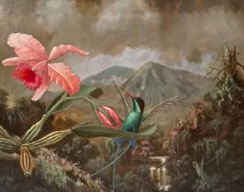 Orchids and Humming Birds in a Rain Forest by 
																			Gayle B Tate